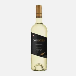 Vinho Branco Chileno Paso de Los Andes Sauvignon Blanc 750ml